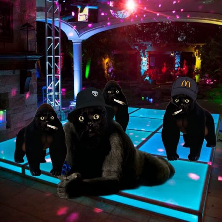 A group of Apecats hanging out on a glowing dance floor under a disco ball.